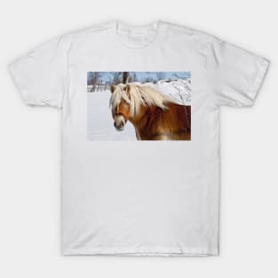 Belgian Horse In Winter T-Shirt